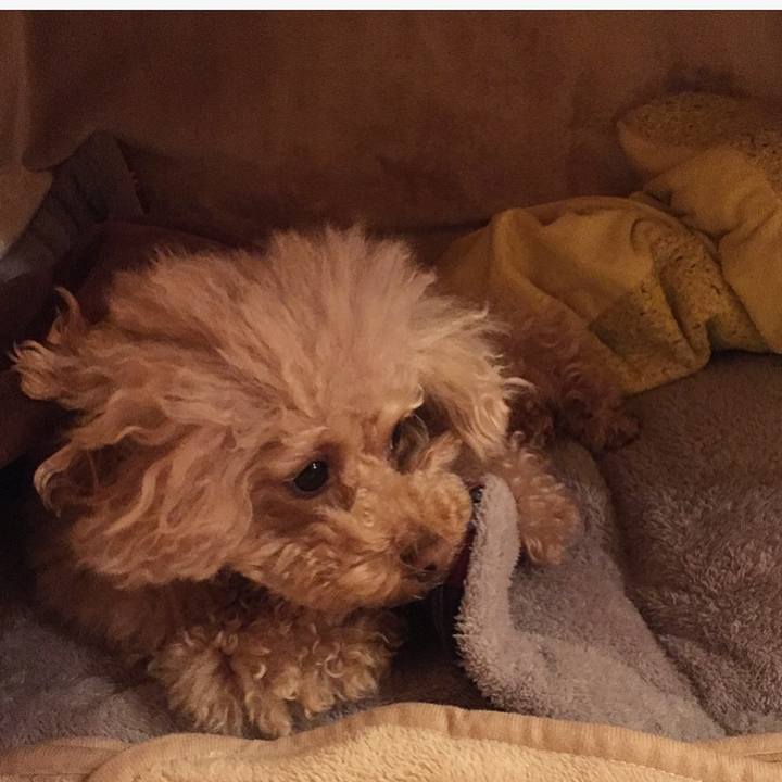 97685ba5 acc7 4e73 9398 649f58e066fd