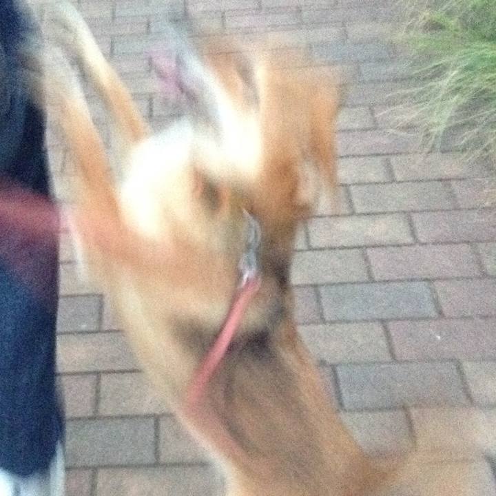 9769288e 9b3f 4f51 a6d2 86390a3e1499