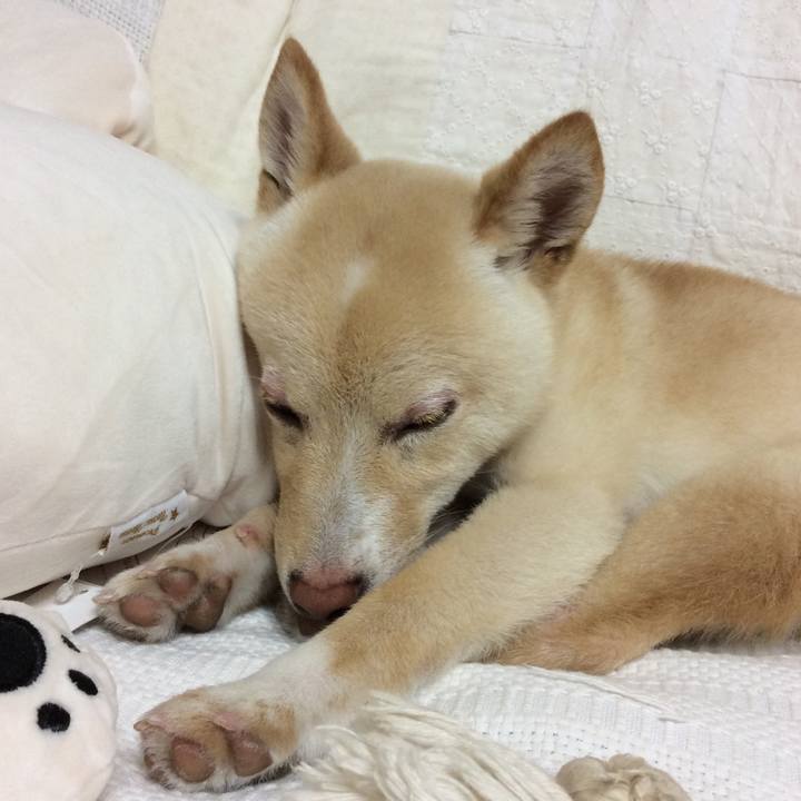 9769c43f d35d 461f 8dd0 567afb7a2426