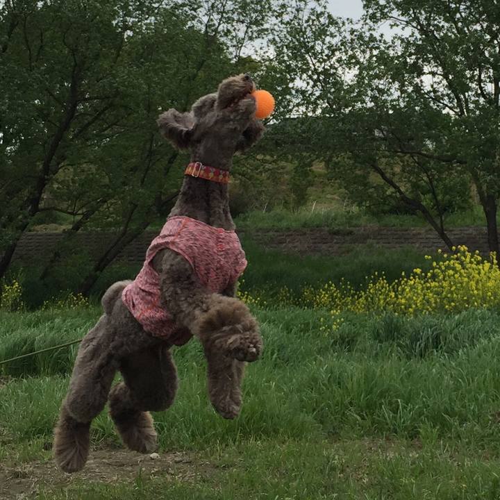 9769dc88 2627 403b a5a6 a49cc3db4001