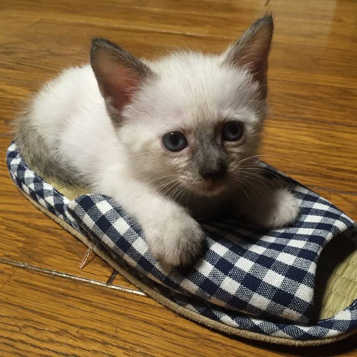 976a2af6 d18b 41fb ac16 430f37a34be9