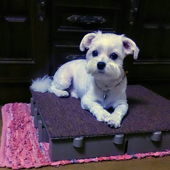 976a7116 a6bb 47be 9146 e60876511aeb