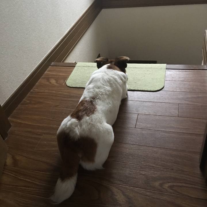 976ada7a 6647 4fcc b227 d06836f5e862