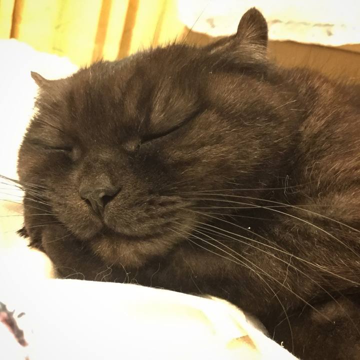 976b72e3 328e 4e44 9572 58917abb9ad9