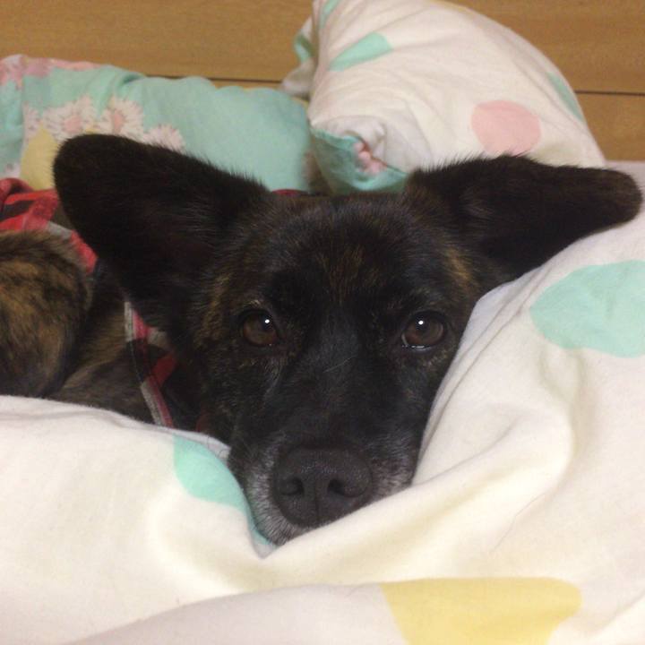 976bacf7 0190 43d8 9bec f9984c1f1c39