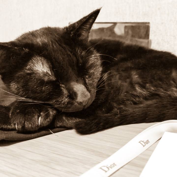 976be9db 698a 4e91 8473 23e03fe0e022