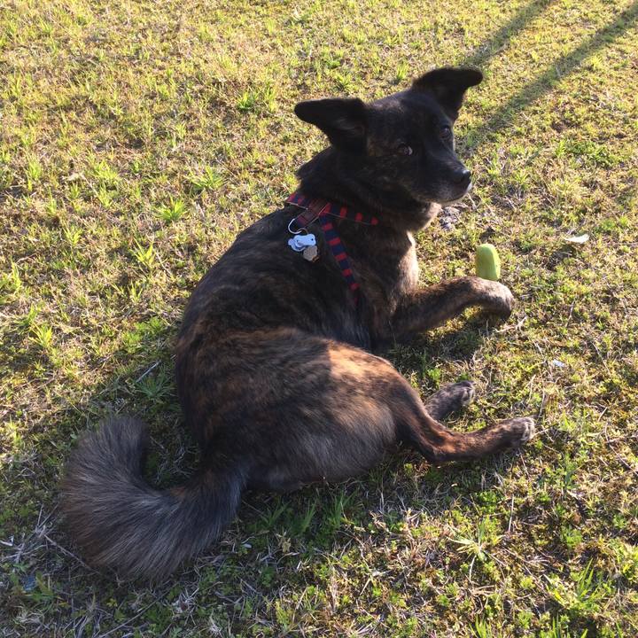 976c6d15 d84e 42d8 bf89 a6bae1caf42a