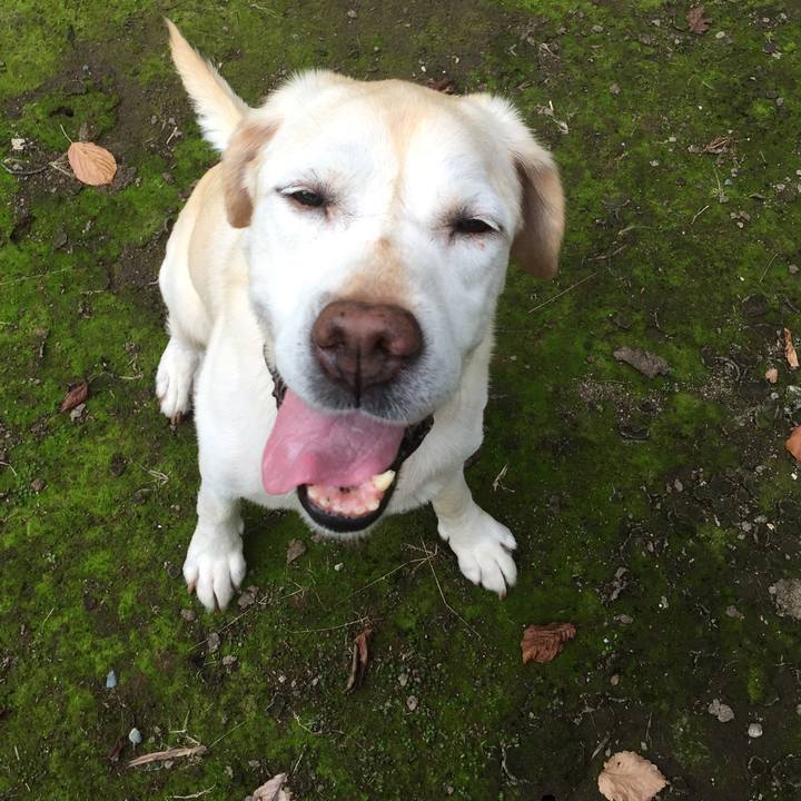 976cb122 fb5f 4cec 8b69 f5781d85094a