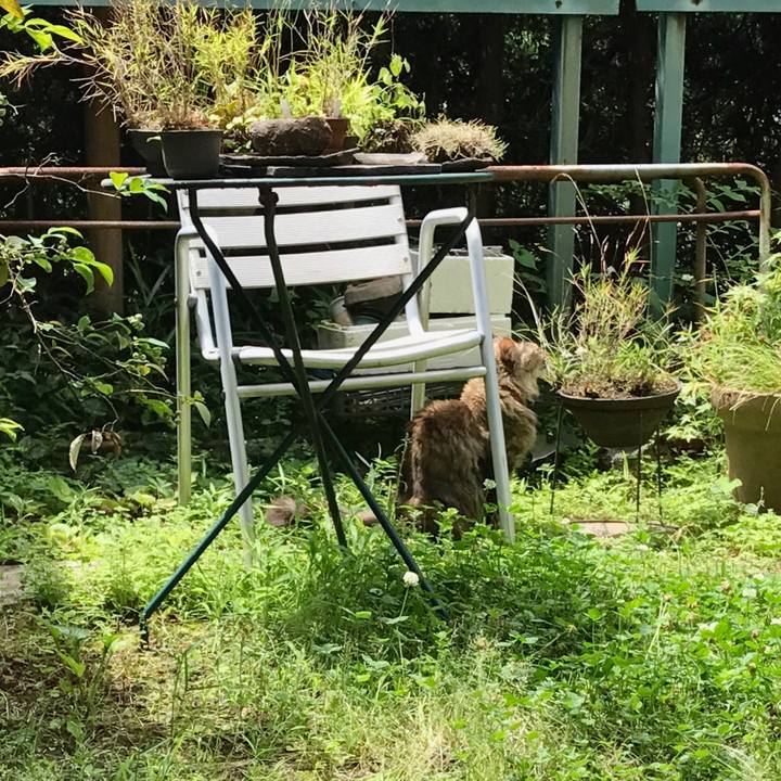 976cd61f 49e6 43c2 8d8f 7b83be8272d5