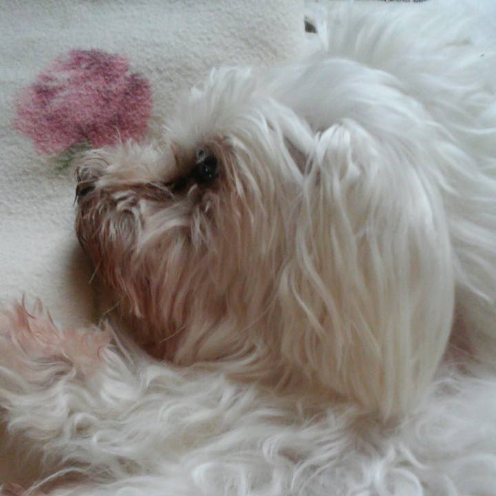 976db97c 7bcf 4105 8776 be1075041a70