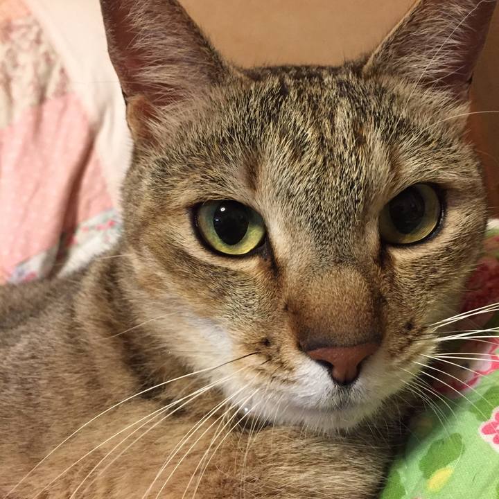 976dc80b 0bd5 490b b1f0 60c99e11a4af