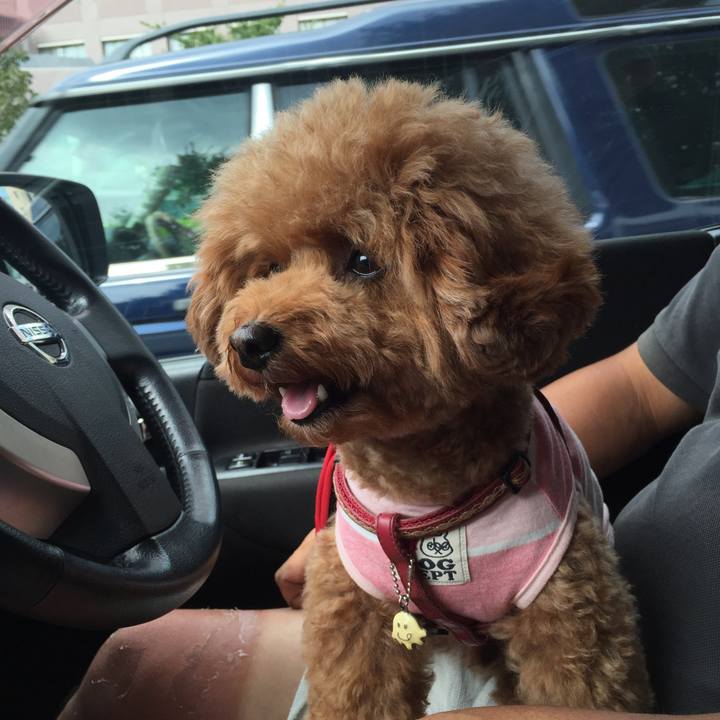 976dcfc3 0f18 40d7 952d 78947d7f3cb6