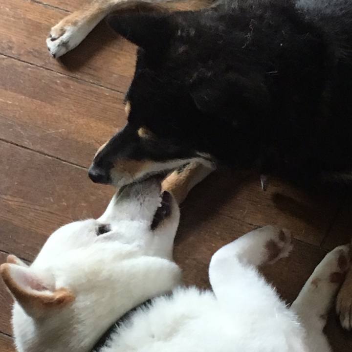 976e5c3c 1868 456b 90c6 edae48227cb6