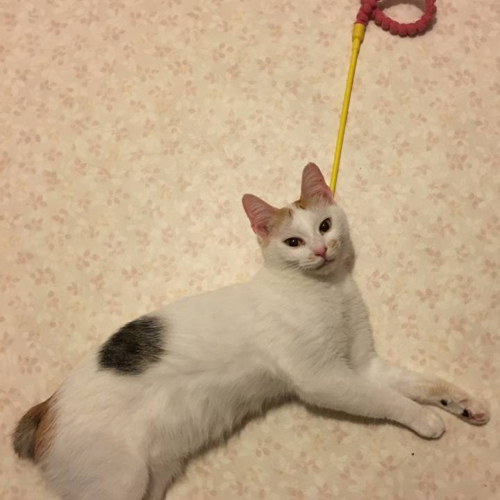 976e96c6 792c 4dac 923d caeafa2641e1