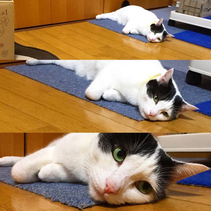 97708e2f c46d 43b0 85e9 3c46bf48570e