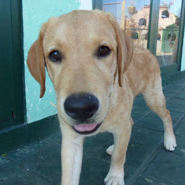 97716315 82e6 487a ad53 603adfd8497d