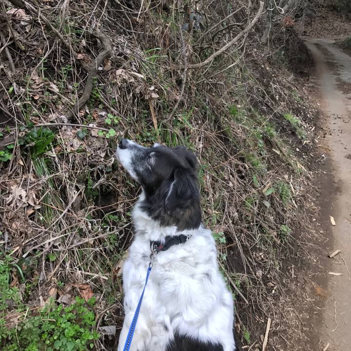 9771ad31 63ab 4f17 b189 f02bdaea6ba1