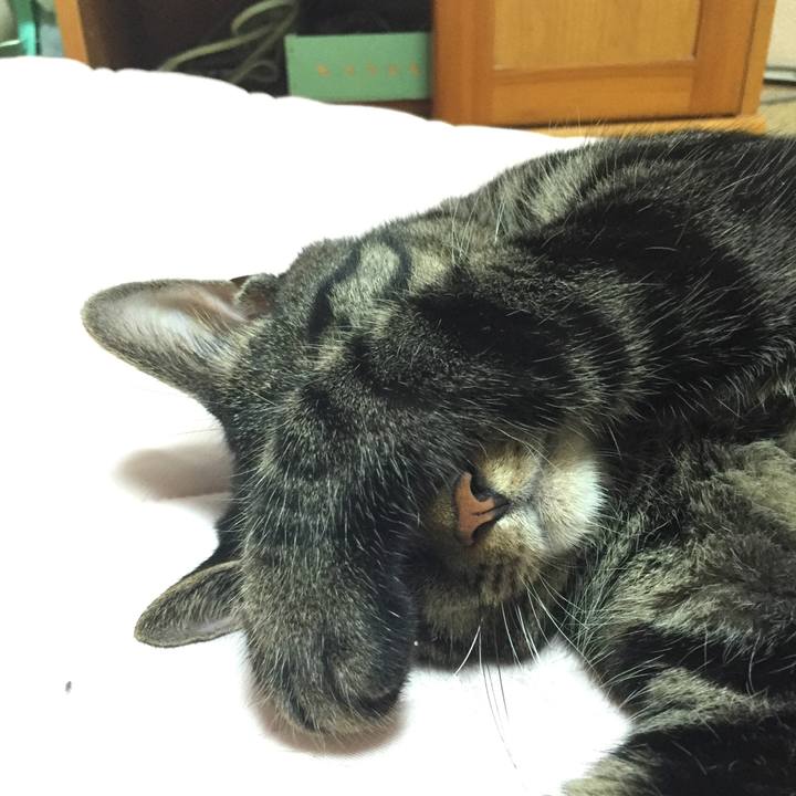 9771b0e5 9b58 407c 82f0 071605d842f5