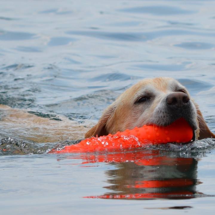 9771fa38 7305 420a 925d 808b8199f850