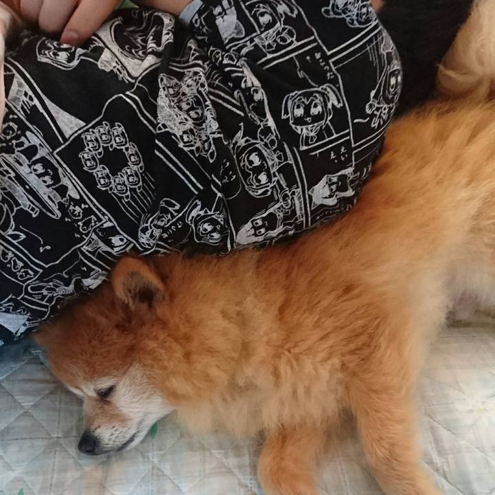 97734af1 dee2 419b a2da 36e245c70fdf