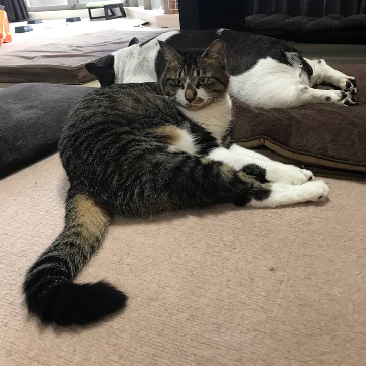 9774428d ed75 47f3 9e65 45ed441b6db1