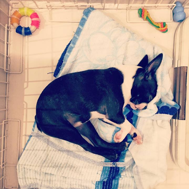 9774ab98 43e8 48ca b095 0ca9c2026727