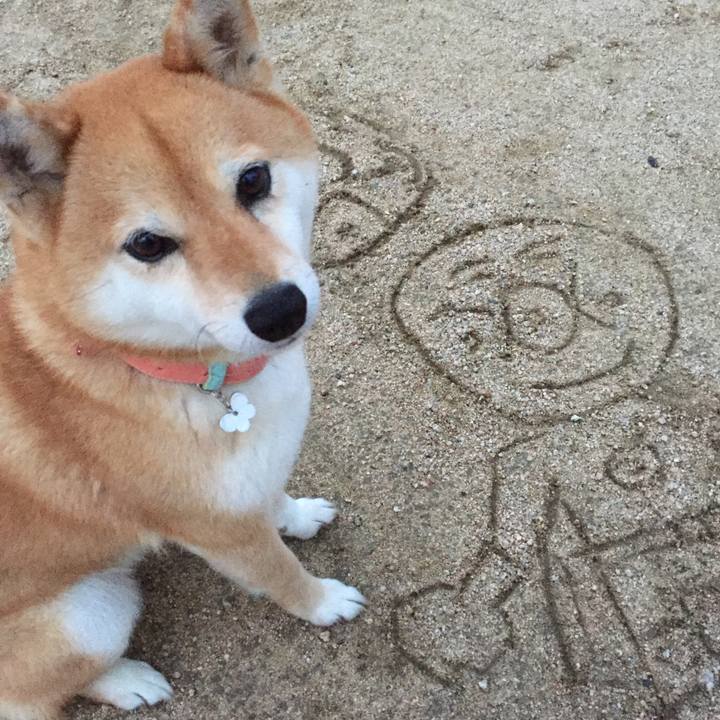 977525aa 7392 40ef bc1e ec60da5c95e9