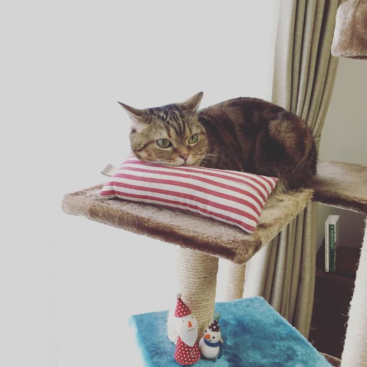 977528fb 0d10 4174 aa99 04b4b30a4f9a