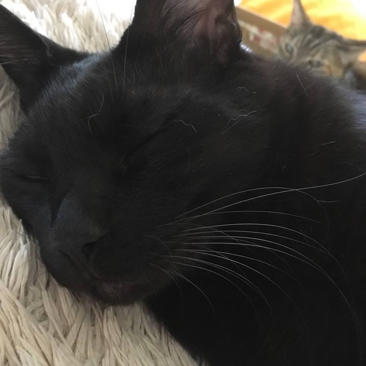 977589a3 b457 45d7 ab5d 4ef0743b284f