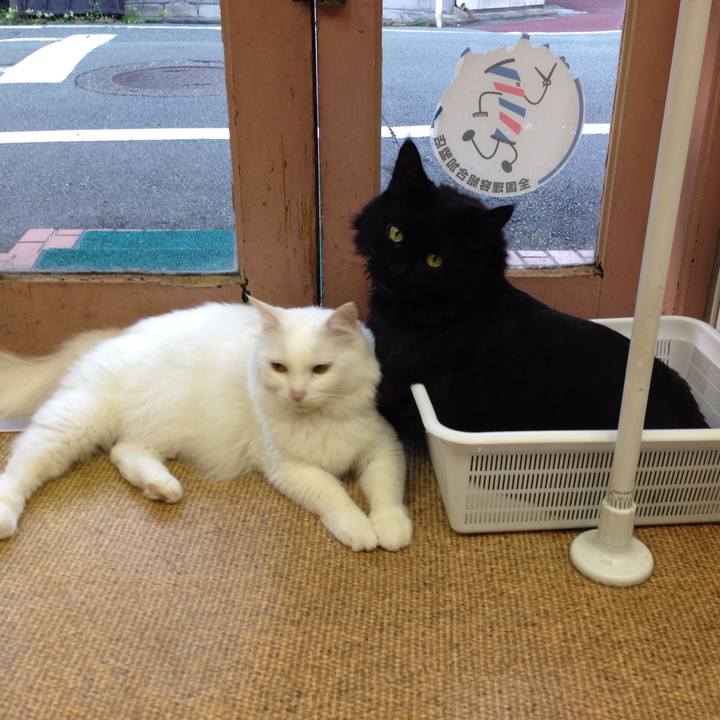 9775b911 2387 4858 ac47 967da3b4cc9b