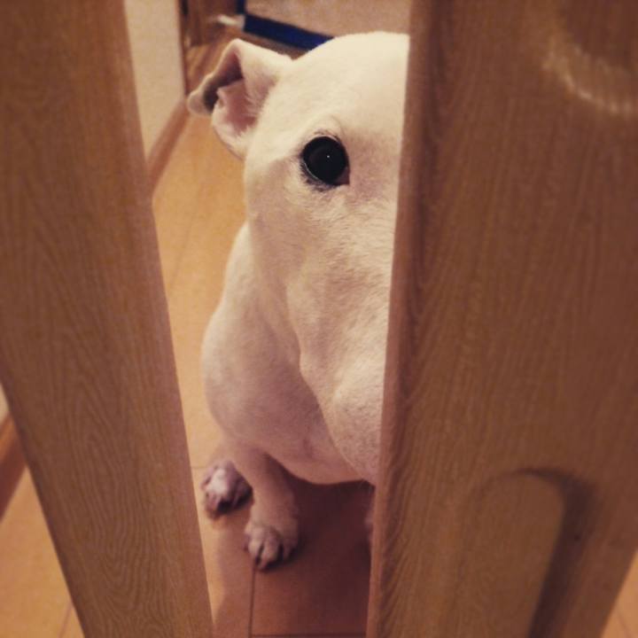 9775f1a2 f567 4e88 86a2 59d1bd76c624