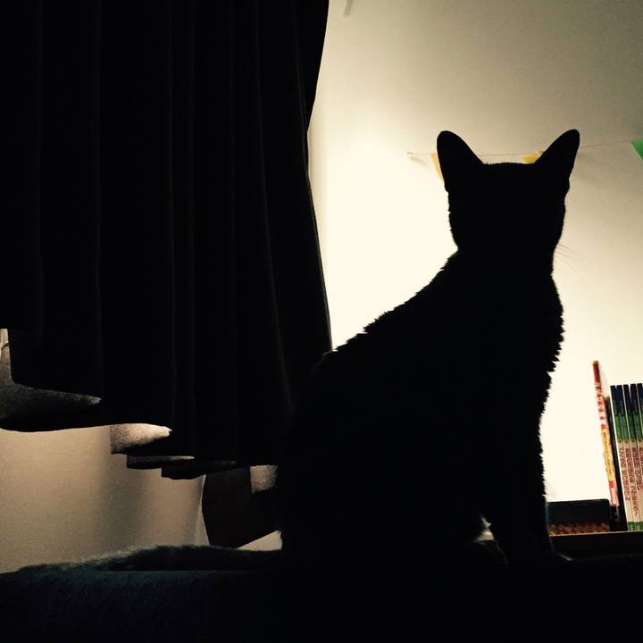 9776446a e70d 4573 9626 7519f986b1e5