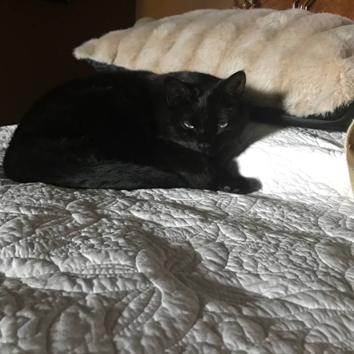 97764532 6dd3 4395 9042 4b3fe43c5514