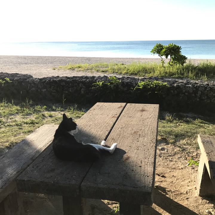 97766b62 8a8a 4ab4 800b 7c4b692ebf67