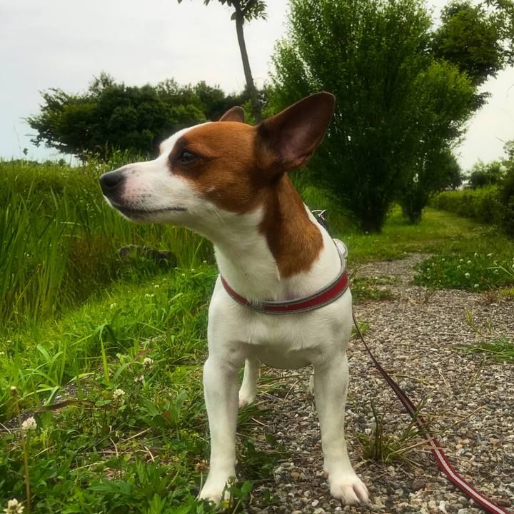 977702b2 fe11 41cc 82e5 2fc76211316f