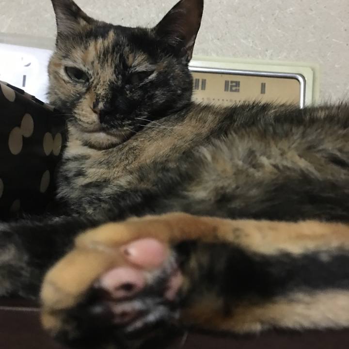 9777652a 245f 4e56 bf66 2698e362a6b7