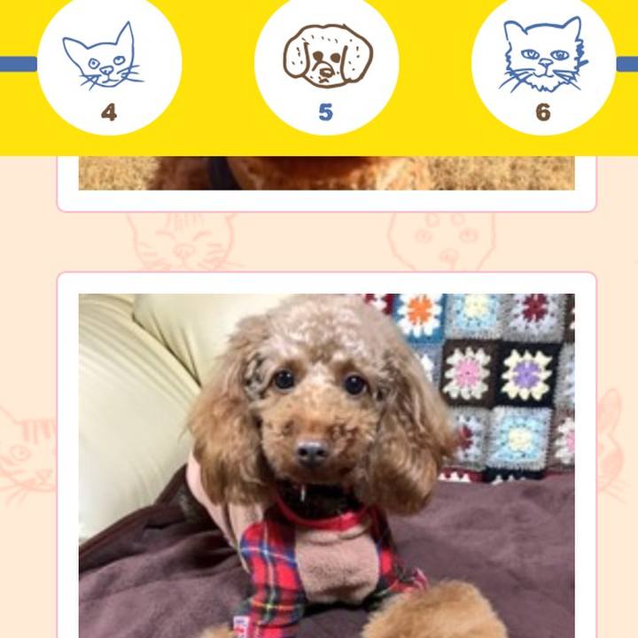 9777c735 424b 4c74 abe6 17c7d82ba3e0