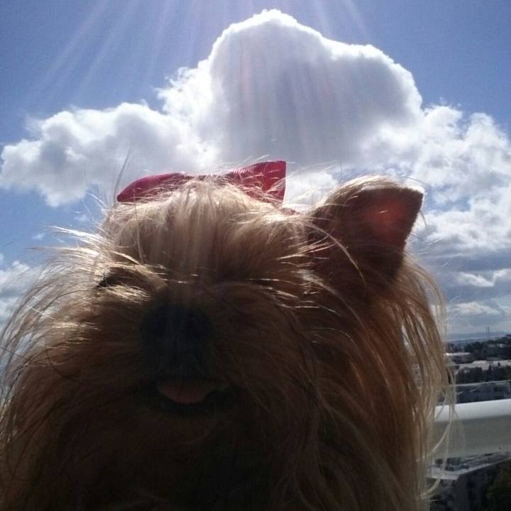 977899e1 5055 4a7c 96a3 2707a22cbef6