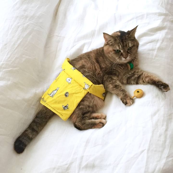 977903e3 1b27 46ed 9584 857a9af46775