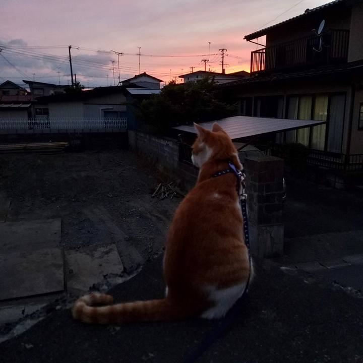 977a1d70 f2e5 4bc5 aabb 09a87c38ca44