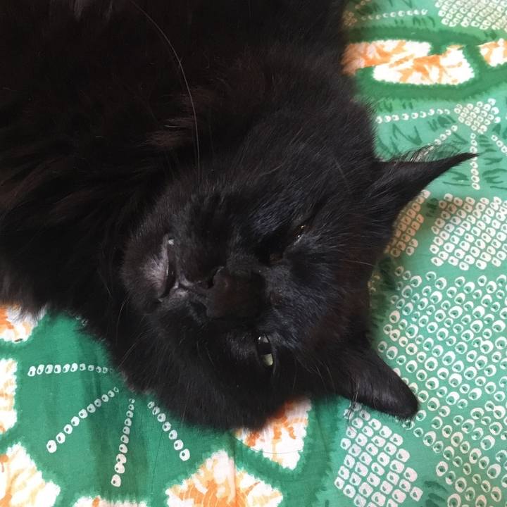 977ad7cd 6cbb 48f7 9d61 ff329949d14c