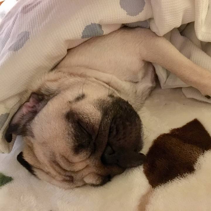 977b26fb 6450 4f3d b43d d0c7156e9180