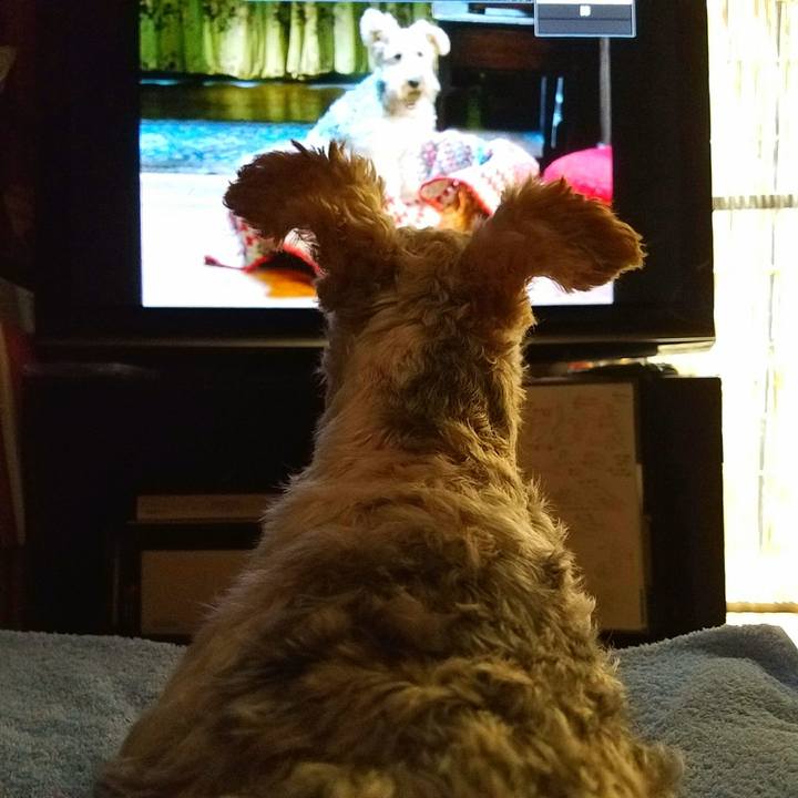 977b5436 573d 4e61 ba82 589b5d5c670e