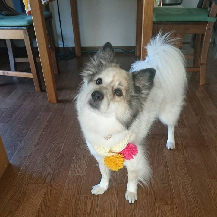 977b59cd 8005 4958 821b 478ffcd74162