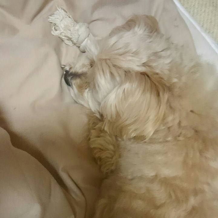 977b632d d310 4a57 8b35 4b3961e9fb45