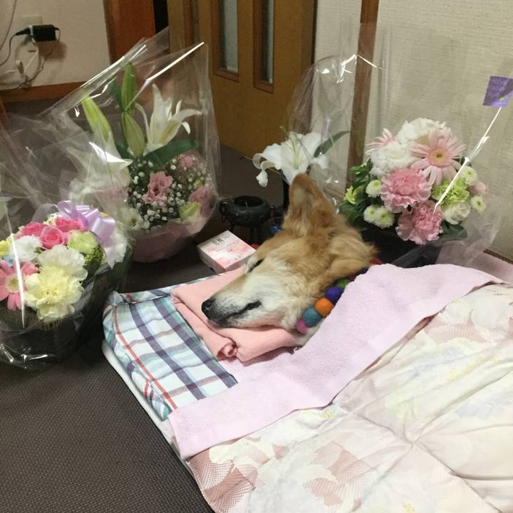 977d2334 6fd3 4817 86c6 101da622658f