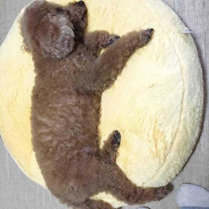 977d78d7 9962 4f27 b74b ac9e73c9a33a