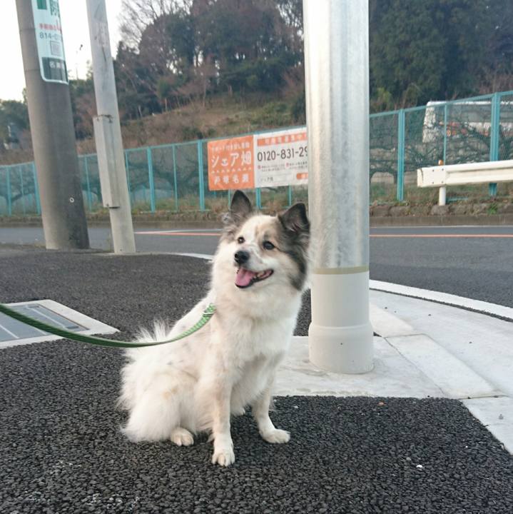 977e12dc d127 4a50 b2b0 1613ef619c35