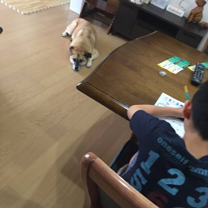 977e1a4f 4d94 4e6f be26 dc76897a7b54