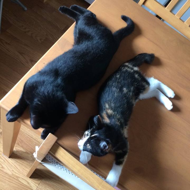 977e561f 7ee2 4059 b1a4 f9abc6a193ca